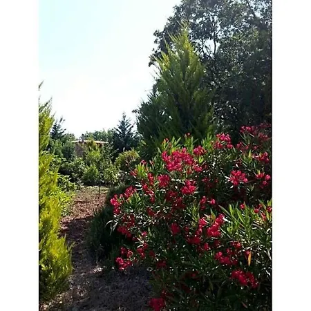 Sleeps 5 Pool Fethiye